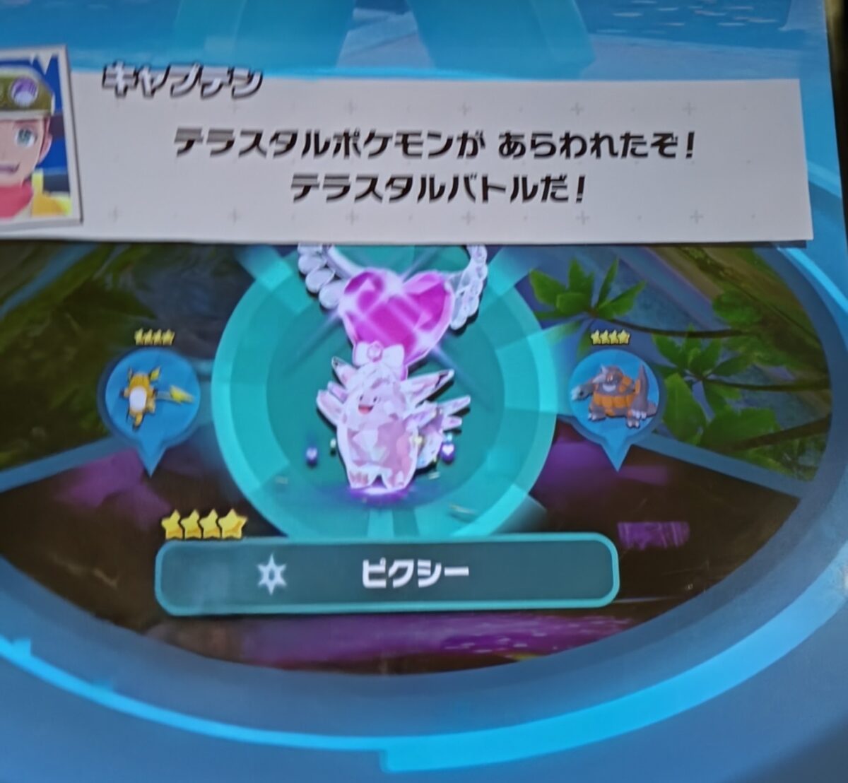 ポケモンフレンダ テラスタルバトル